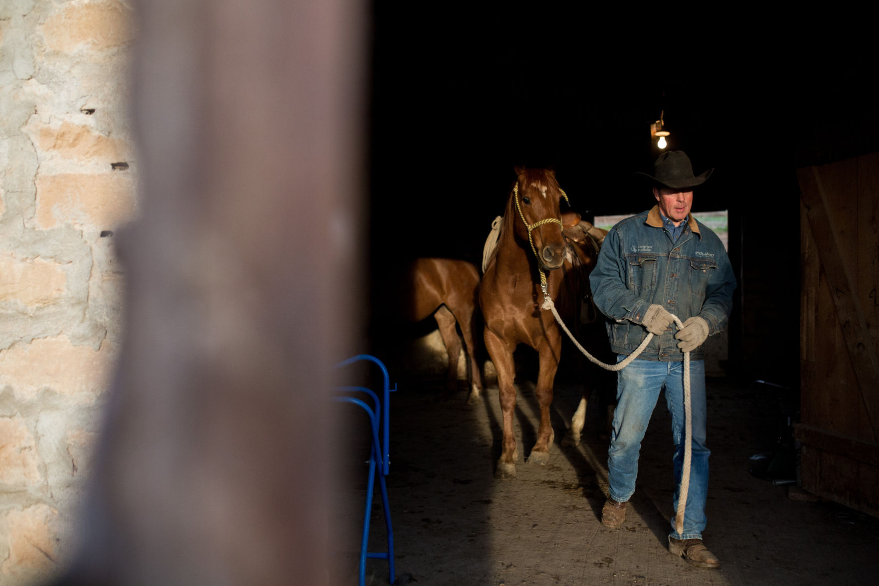 Sheridan Cattle Branding